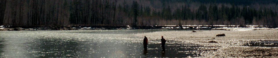 skating dry flies for steelhead